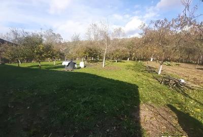 Casă cu 2 camere cu Teren 2000 Mp în Arduzel - 7