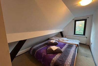 Pensiune de vanzare in statiunea Paltinis,Sibiu- Afacere la cheie - 11