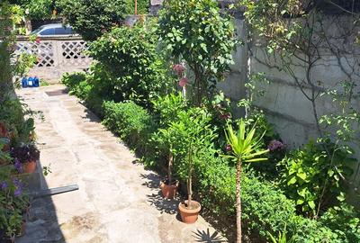 Casă cu 3 camere cu Teren 150 Mp în Alba Iulia - 3