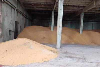 Spațiu comercial, de 1,450 mp, în Central - 2