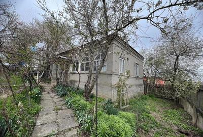 Teren de 2500 mp, în Gângiova - 3