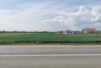 1.3 Ha teren intravilan la intrare in Valea lui Mihai - IMOBIHOR - 1