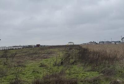 Spațiu comercial, în Dragomirești-Vale - 4