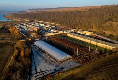 Horgesti, fosta Ferma a Partidului de vanzare - 3