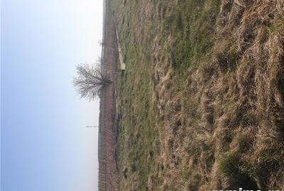 Teren de 2500 mp, în Călugăreni - 1