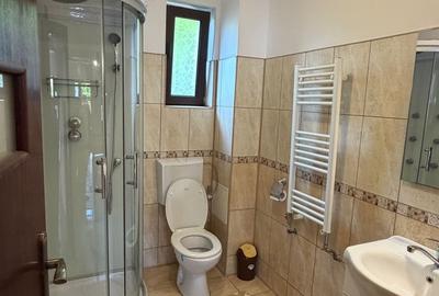 Casă cu 3 camere cu Canalizare în Ultracentral - 9