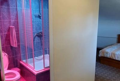 Casă cu 9 camere în Valea Mare - 9