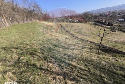 Teren de 2853 mp, în Urechești - 8