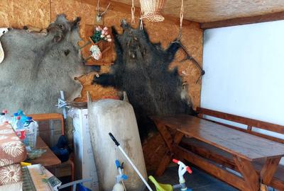 Casa 4 camere suprafata utila 126mp, teren 1600mp, spre vanzare in Seica Mare - 17