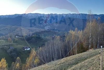 Teren Magura inima naturii perfect pentru A frame, casa vacanta - 2