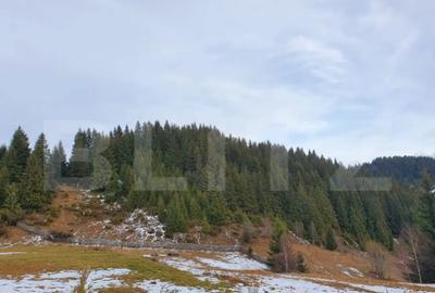 Teren în Fundata - 2