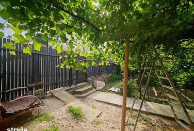 Casă cu 3 camere cu Teren 520 Mp în Siloz - 4