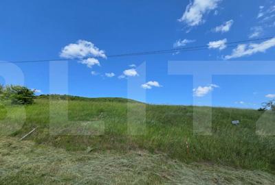 Teren de investitie in localitatea Ciurila - 4