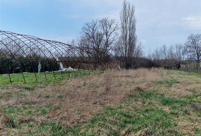 Casă cu 2 camere cu Teren 1114 Mp în Borș - 8