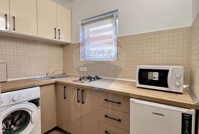 Garsoniera renovata la cheie de inchiriat zona 6 Vanatori,Arad - 4