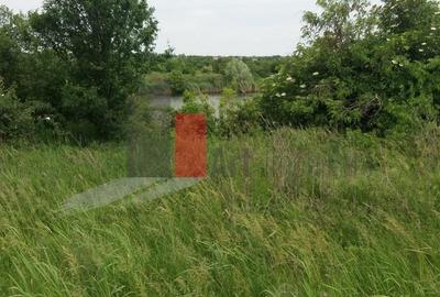 Teren Construcții intravilan de 3000 mp, în Sud - 25