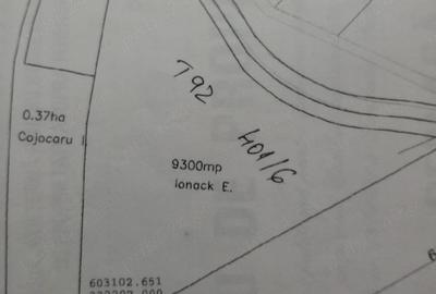 Teren de 9300 mp, în Cozieni - 1