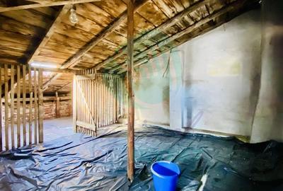 Casa singura in curte in apropiere de Parcul Carol - 12