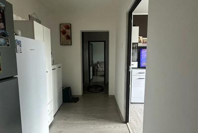 Apartament 2 camere drumul taberei - 9