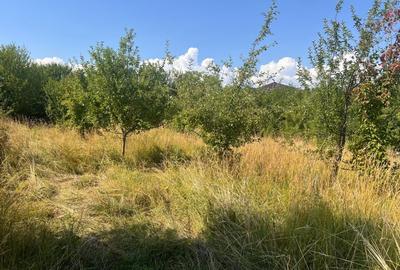 Teren cu PUZ zona strazii Macesului, ideal constructie casa - 2