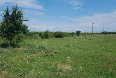 Teren agricol intravilan, Cristian ! - 7