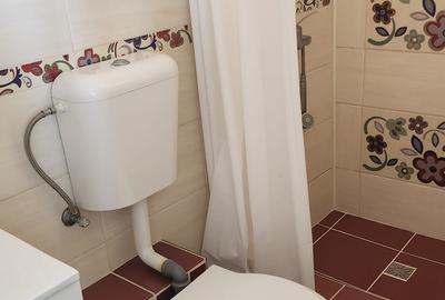 Vila superba 8 camere ,stil conac Brancovenesc - 10
