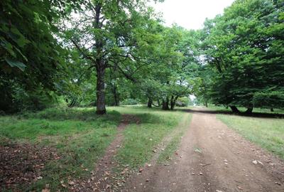 Spațiu comercial, în Poiana Brașov - 7