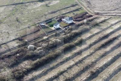 Teren de 6400 mp, în Cetate