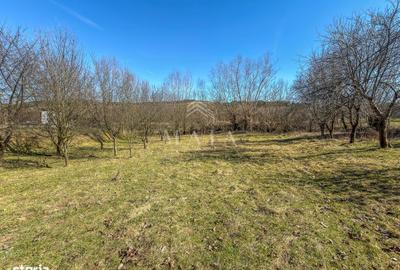 Spațiu comercial, în Poplaca - 3