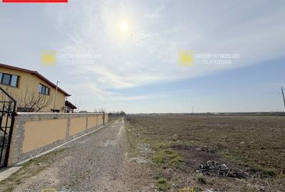 Teren 600mp in Vanatori la iesirea spre Odaia Manolache - 2