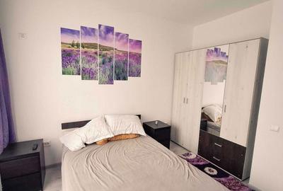 Apartament cu 2 camere decomandat în Roșu - 6