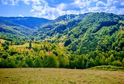 CASA TRADITIONALA, ANEXE si 46.980 mp teren partial INTRAVILAN BULZ - BIHOR - 36