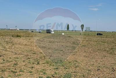 Teren de 10164 mp, în Vadu Anei - 3