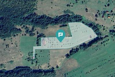 Teren de 92294 in Halmagiu Teren de 92294 in Halmagiu - 1