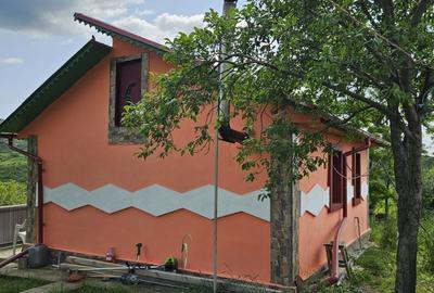 Casă cu 1 camere în Cozieni - 4