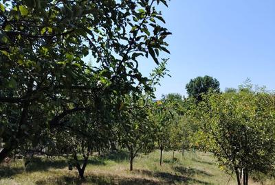 Casă cu 2 camere în Răbăgani - 2