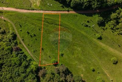 Teren agricol extravilan de 1375 mp, în Cristian - 3