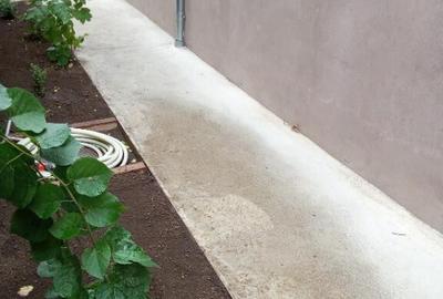 Casă cu 4 camere cu Teren 1000 Mp în Central