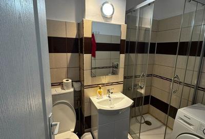 Garsonieră decomandată, mobilată în Cetate - 3