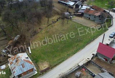Spațiu comercial, în Dobrotu - 4