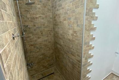 Stefan cel Mare - Spital Colentina, parter vila, parcare, doar firme - 8