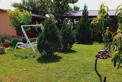 Casă cu Teren 630 Mp în Adunații-Copăceni - 3