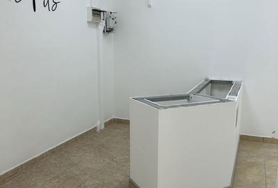 Spațiu comercial, în Dacia - 6