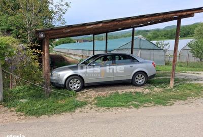 Spațiu comercial, în Dăești