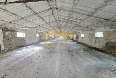 Hala de vanzare 1000mp cu teren de 4500mp fiecare hal./Cal. Bodrogului - 6