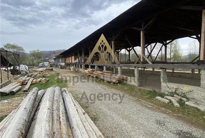 Teren de 5000 mp, în Agăș - 12