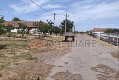 Teren de 95000 mp, în Cerneteaz - 3