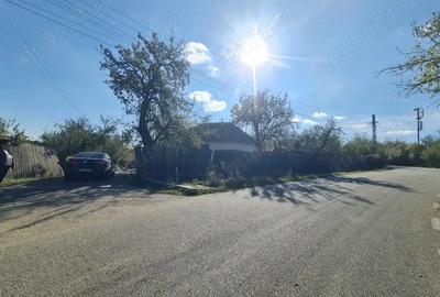 Casa si pamant agricol de vanzare - 6