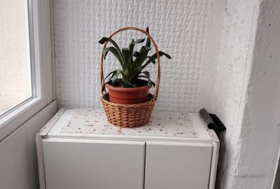 Apartament cu 2 camere semidecomandat, mobilat în Tineretului - 11