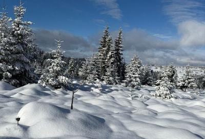 Spațiu comercial, în Măguri - 8